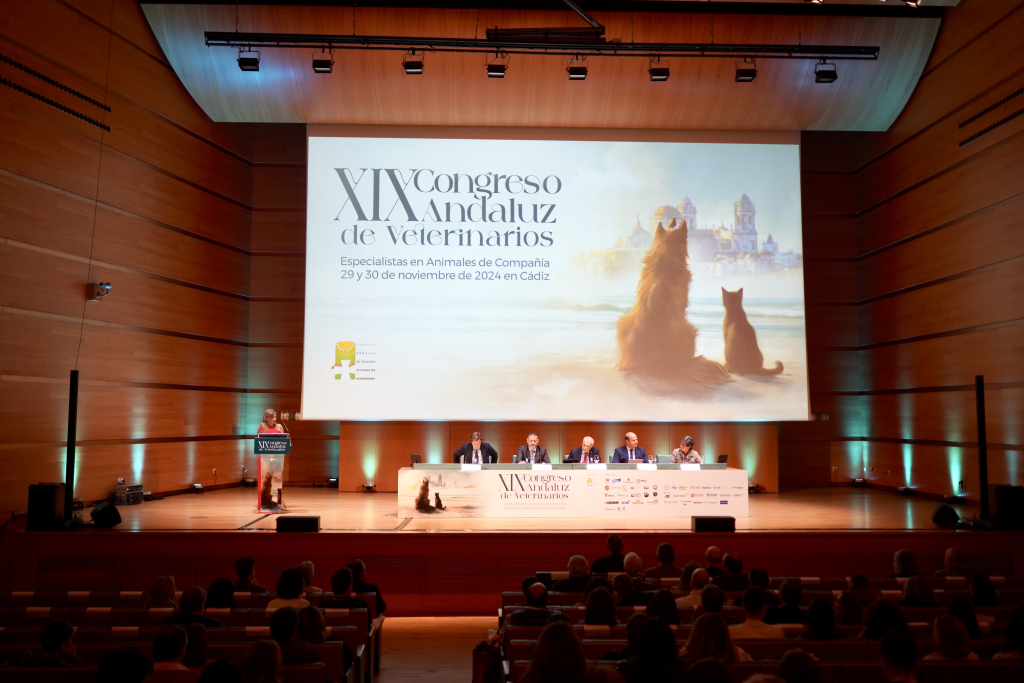 Fotografía profesional para congresos en Cádiz