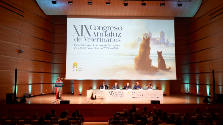 Fotografo profesional para congresos en Cádiz